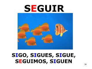 S E GUIR S I GO, S I GUES, S I GUE, S E GUIMOS, S I GUEN 