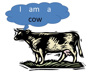 I    am    a cow 