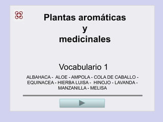 Plantas aromáticas
               y
         medicinales


             Vocabulario 1
ALBAHACA - ALOE - AMPOLA - COLA DE CABALLO -
EQUINACEA - HIERBA LUISA - HINOJO - LAVANDA -
            MANZANILLA - MELISA
 