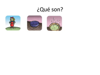 ¿Qué son?
 