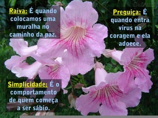 Raiva: É quando
colocamos uma
muralha no
caminho da paz.
Preguiça: É
quando entra
vírus na
coragem e ela
adoece.
Simplicidade: É o
comportamento
de quem começa
a ser sábio.
 