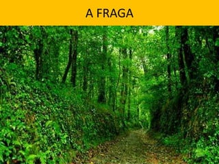 A FRAGA
 