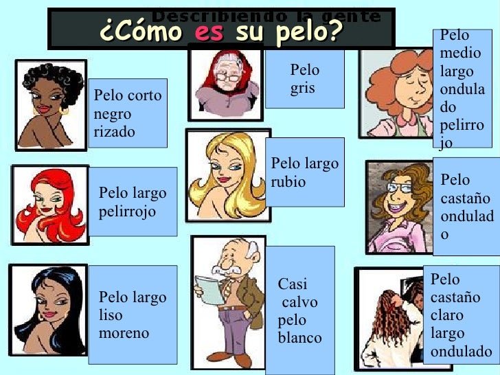 Vocabulario descripcion fisica ropa y personalidad a1 a2 Vocabulario descripcion fisica ropa y personalidad a1 a2