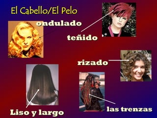 El Cabello/El Pelo
      ondulado
               teñido


                 rizado




                        las trenzas
Liso y largo
 