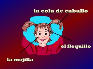 la cola de caballo




                     el flequillo

la mejilla
 