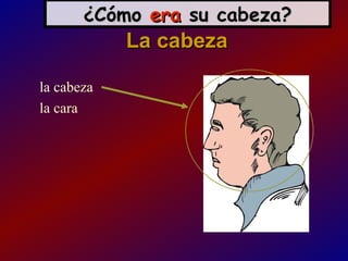 ¿Cómo era su cabeza?
            La cabeza

la cabeza
la cara
 
