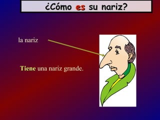 ¿Cómo es su nariz?


la nariz



Tiene una nariz grande.
 