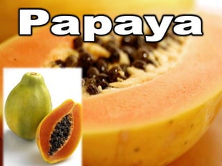 Papaya