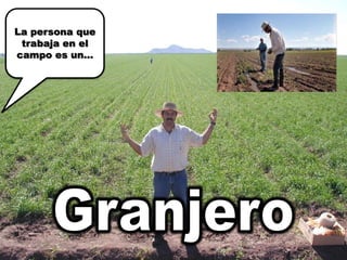 La persona que trabaja en el campo es un…Granjero