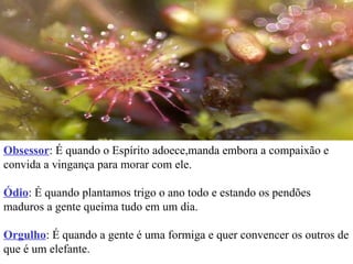 Obsessor : É quando o Espírito adoece,manda embora a compaixão e convida a vingança para morar com ele. Ódio : É quando plantamos trigo o ano todo e estando os pendões maduros a gente queima tudo em um dia. Orgulho : É quando a gente é uma formiga e quer convencer os outros de que é um elefante. 