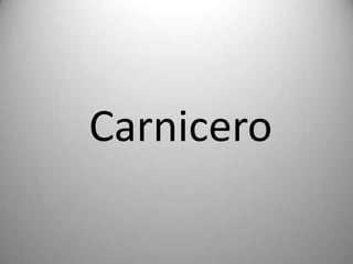 Carnicero