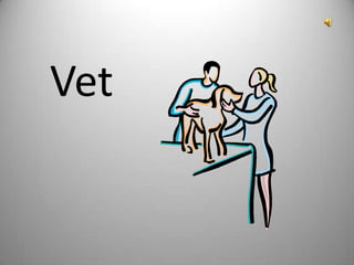 Vet