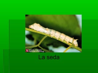 La seda
 