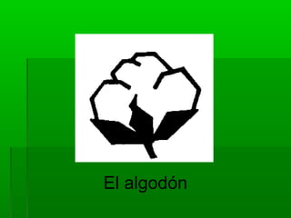 El algodón
 
