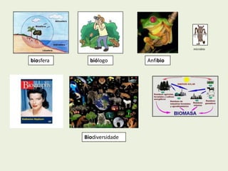 microbio


biosfera     biólogo        Anfibio




           Biodiversidade
 