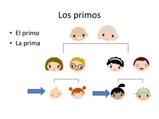 Los primos
• El primo
• La prima
 