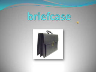 briefcase