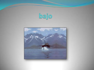 bajo