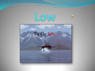LowToflylow