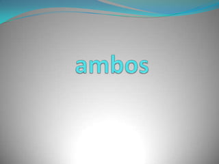 ambos