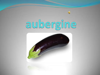 aubergine