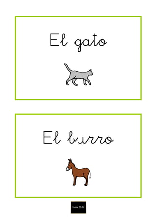 El gato
El burro
 
