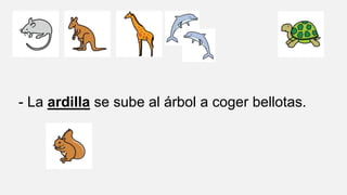 - La ardilla se sube al árbol a coger bellotas.
 