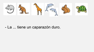 - La ... tiene un caparazón duro.
 