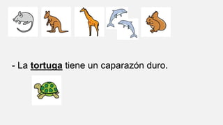 - La tortuga tiene un caparazón duro.
 