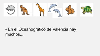 - En el Oceanográfico de Valencia hay
muchos...
 