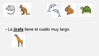 - La jirafa tiene el cuello muy largo.
 