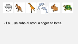 - La ... se sube al árbol a coger bellotas.
 