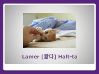 Lamer [핥다] Halt-ta
 