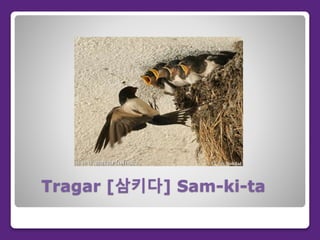 Tragar [삼키다] Sam-ki-ta
 