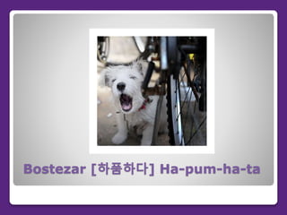 Bostezar [하품하다] Ha-pum-ha-ta
 