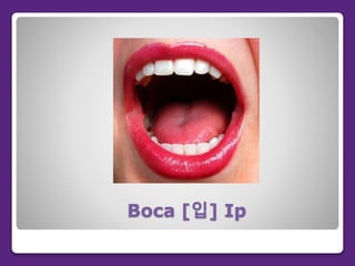 Boca [입] Ip
 