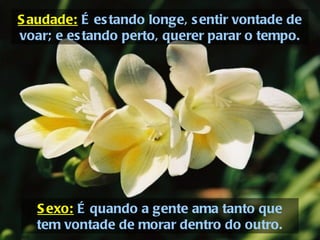 Sexo:  É quando a gente ama tanto que tem vontade de morar dentro do outro. Saudade:  É estando longe, sentir vontade de voar; e estando perto, querer parar o tempo. 