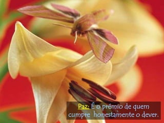 Paz: É o prémio de quem
cumpre honestamente o dever.
 