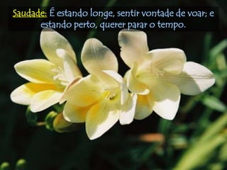 Saudade: É estando longe, sentir vontade de voar; e
      estando perto, querer parar o tempo.
 