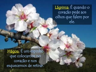 Lágrima: É quando o
                           coração pede aos
                         olhos que falem por
                                 ele.




Mágoa: É um espinho
  que colocamos no
    coração e nos
esquecemos de retirar.
 