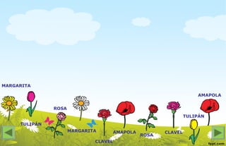 MARGARITA
MARGARITA
TULIPÁN
TULIPÁN
ROSA
ROSA
AMAPOLA
CLAVEL
CLAVEL
AMAPOLA
 
