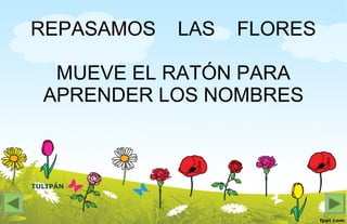 TULIPÁN
REPASAMOS LAS FLORES
MUEVE EL RATÓN PARA
APRENDER LOS NOMBRES
 