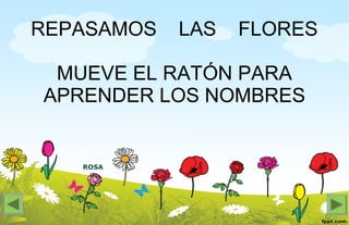 ROSA
REPASAMOS LAS FLORES
MUEVE EL RATÓN PARA
APRENDER LOS NOMBRES
 
