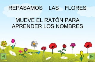 MARGARITA
REPASAMOS LAS FLORES
MUEVE EL RATÓN PARA
APRENDER LOS NOMBRES
 