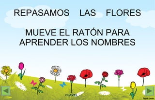 CLAVEL
REPASAMOS LAS FLORES
MUEVE EL RATÓN PARA
APRENDER LOS NOMBRES
 