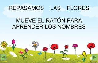 ROSA
REPASAMOS LAS FLORES
MUEVE EL RATÓN PARA
APRENDER LOS NOMBRES
 