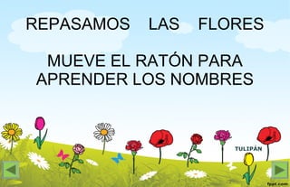 TULIPÁN
REPASAMOS LAS FLORES
MUEVE EL RATÓN PARA
APRENDER LOS NOMBRES
 