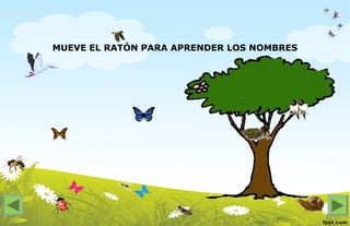 MUEVE EL RATÓN PARA APRENDER LOS NOMBRES
 