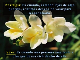 Sexo:  Es cuando una persona ama tanto a otra que desea vivir dentro de ella. Nostalgia:  Es cuando, estando lejos de algo querido, sentimos deseos de volar para reencontrarlo. 