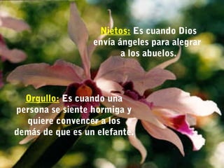 Nietos: Es cuando Dios 
envía ángeles para alegrar 
a los abuelos. 
Orgullo: Es cuando una 
persona se siente hormiga y 
quiere convencer a los 
demás de que es un elefante. 
 